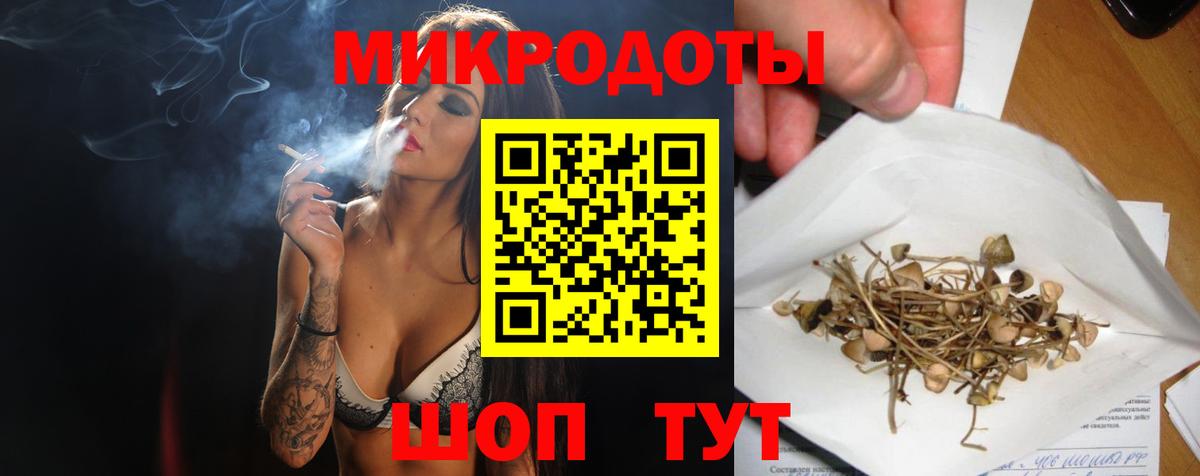 Нижнекамск  Псилоцибиновые грибы Psilocybe  продажа наркотиков  Вход с VPN 